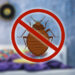 The Environmental Impact of Professional Bed Bug Exterminators