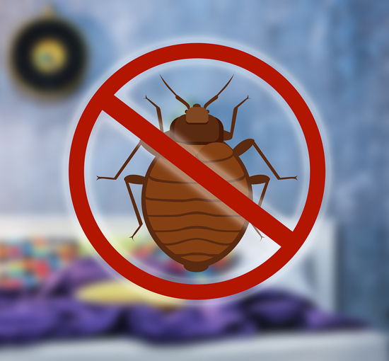 The Environmental Impact of Professional Bed Bug Exterminators