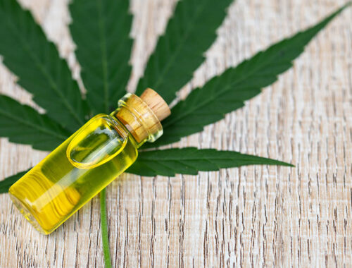 The Growing Adoption of CBD Oil for Its Relaxing, Soothing, and Caring Properties