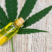 The Growing Adoption of CBD Oil for Its Relaxing, Soothing, and Caring Properties